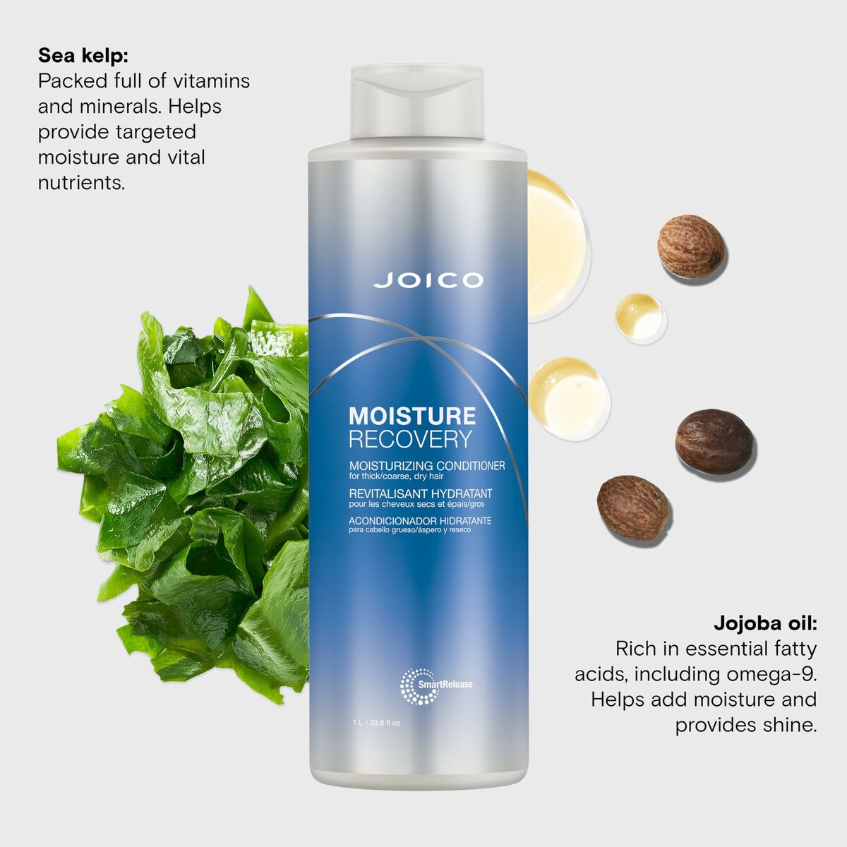 Joico MOISTURE RECOVERY Hydratant, après-shampooing hydratant, enrichi en algues et huile de jojoba pour cheveux secs.