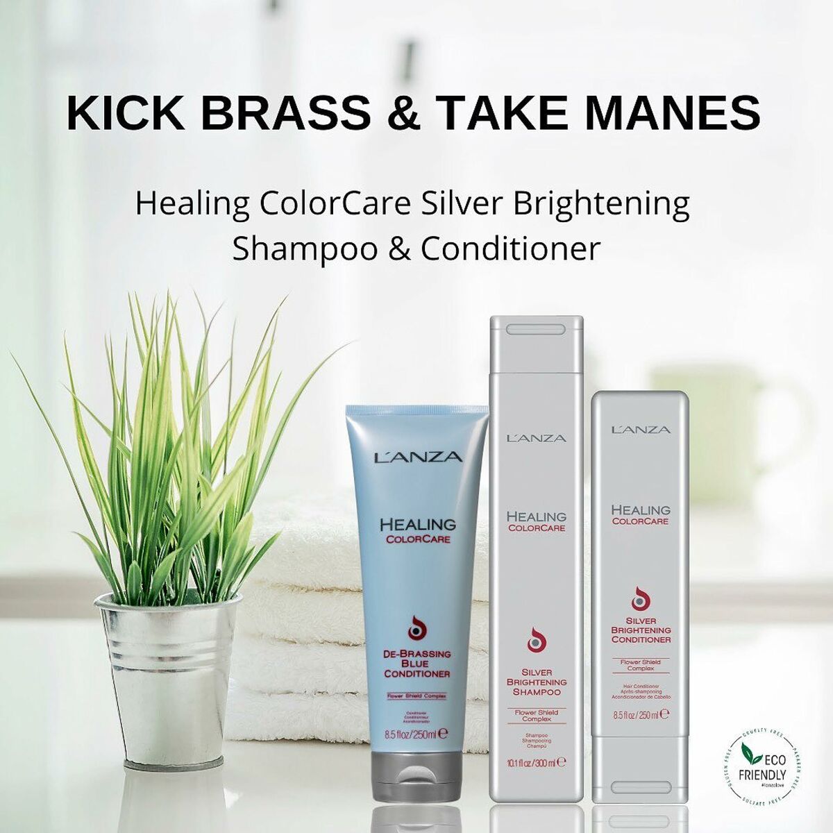 L'ANZA Healing ColorCare Silver Brightening Shampoo and Conditioner for shiny, vibrant hair.