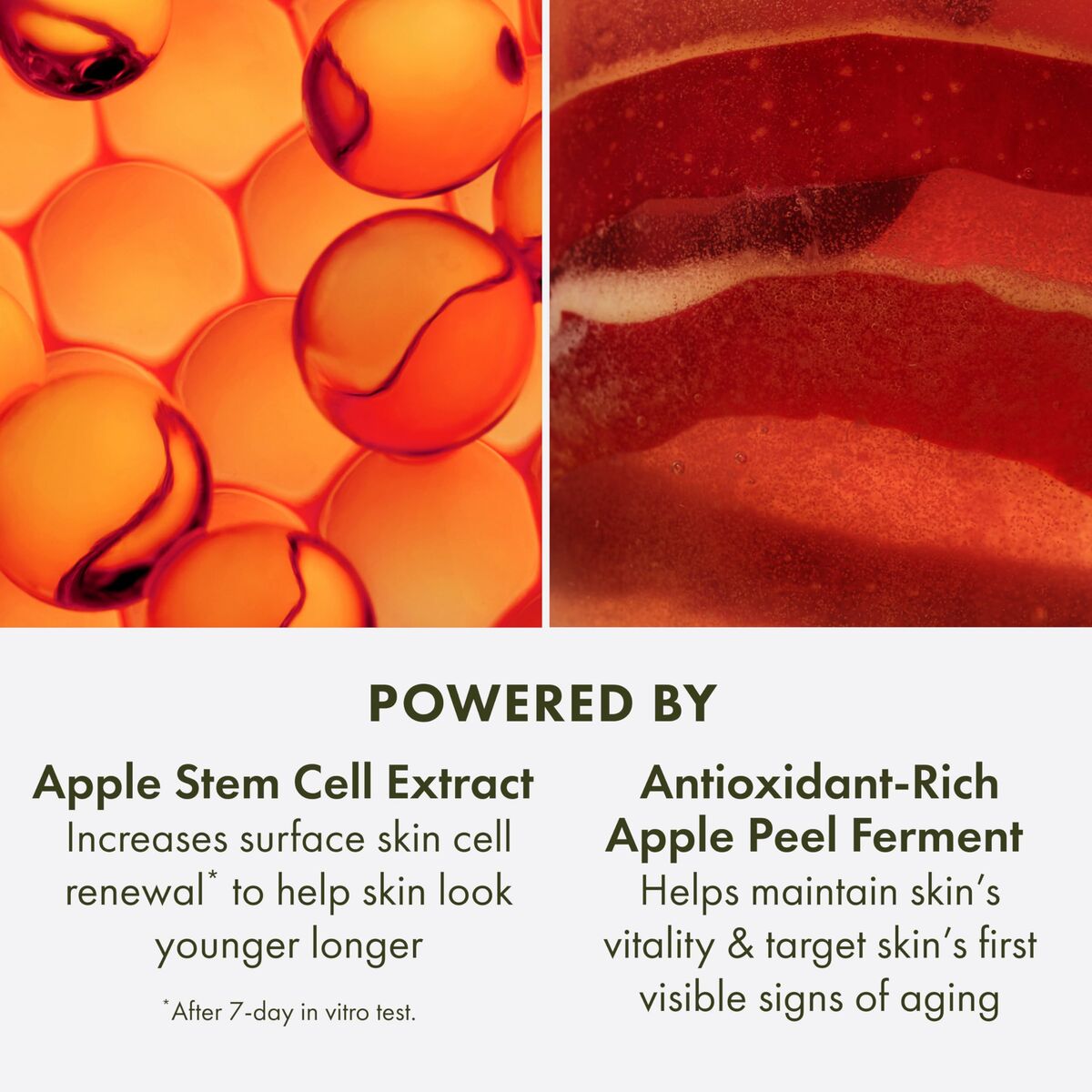 Visual showcasing ingredients of Origins YOUTHTOPIA: Apple Stem Cell Extract and Antioxidant-Rich Apple Peel Ferment.