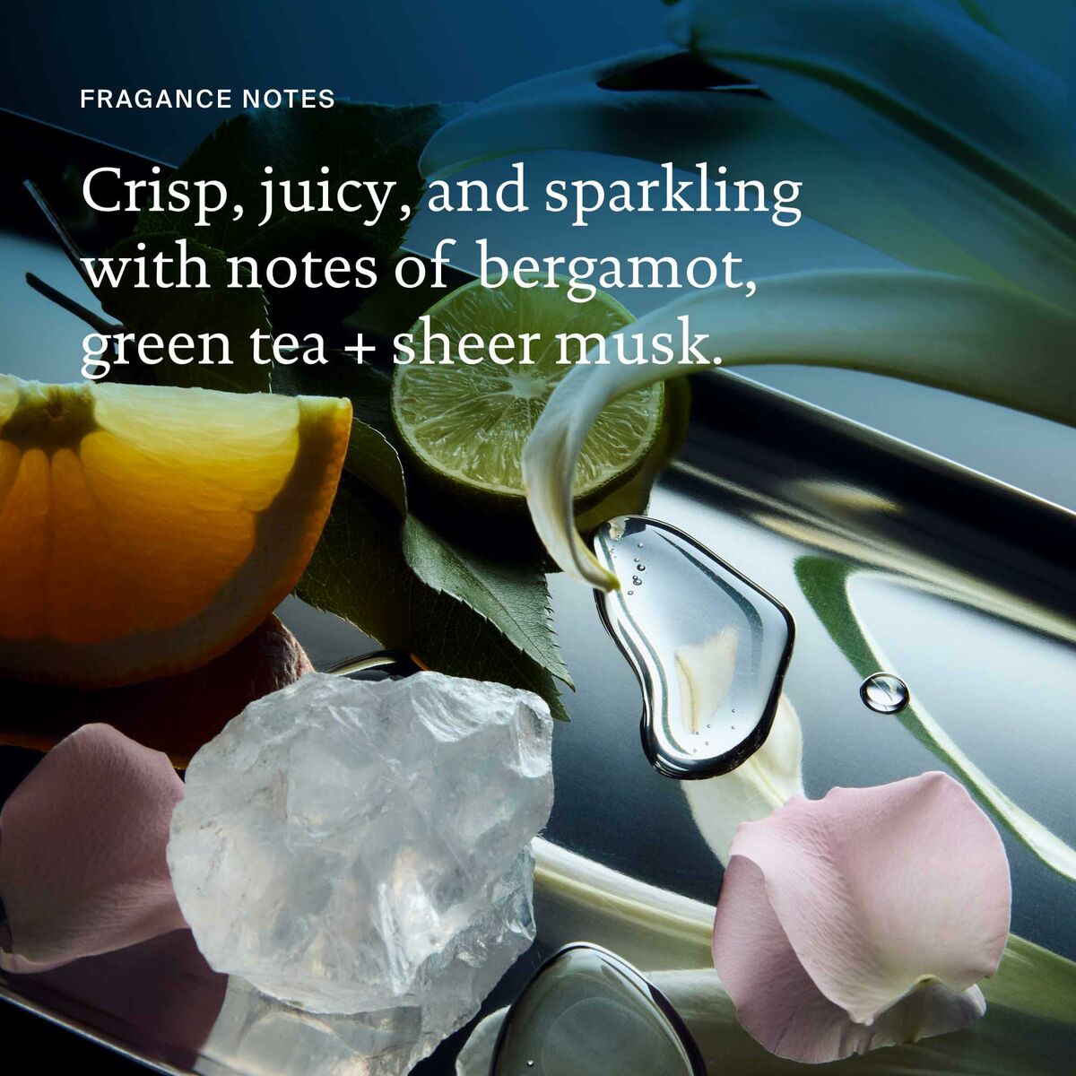 Fragrance notes featuring bergamot, green tea, sheer musk with citrus and petals on metallic surface.
