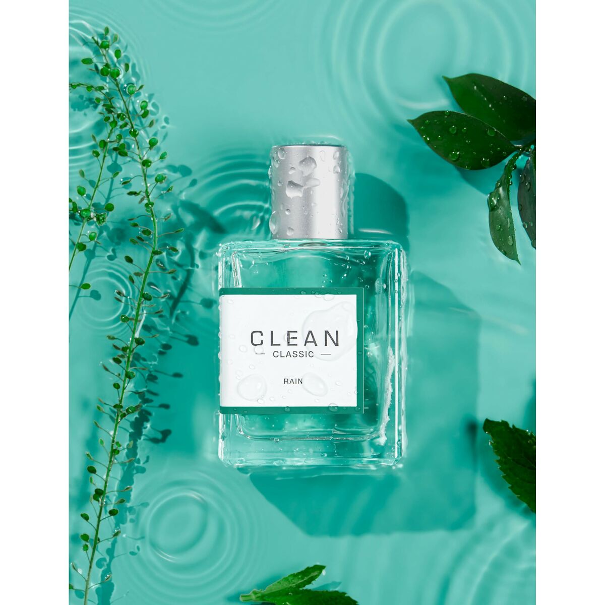 Bouteille de parfum Clean Classic Rain EDP avec gouttes d'eau et feuillage vert, 60 ml.