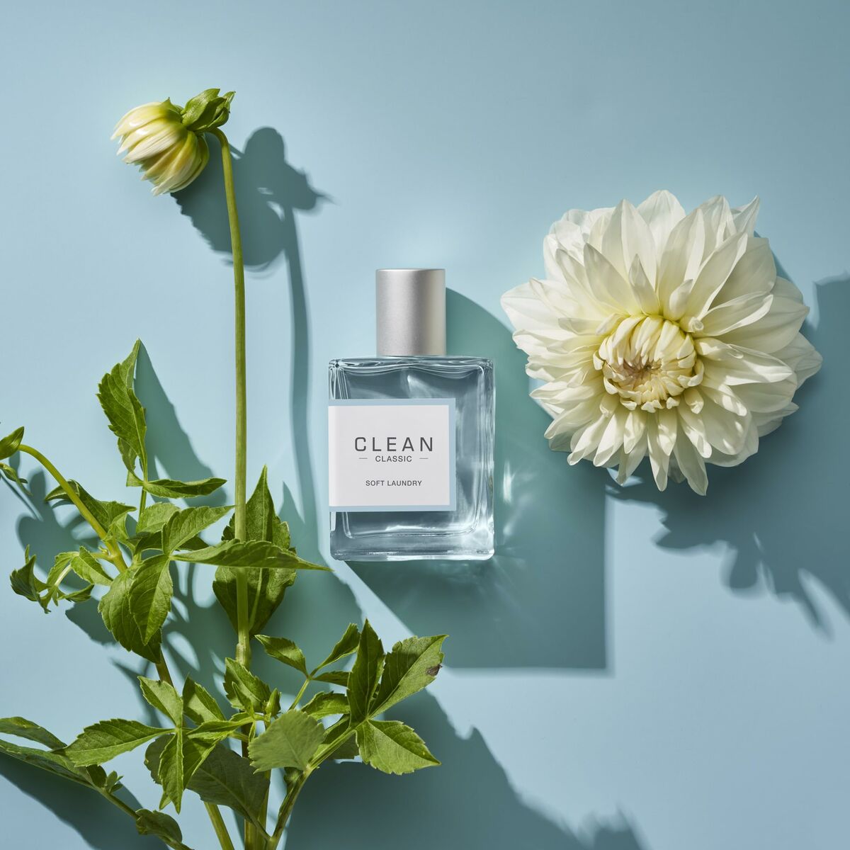 Parfum Unisexe Clean avec fleurs, 60 ml, fragrance authentique, ambiance fraîche et florale.
