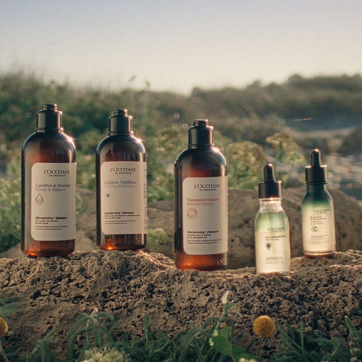Collection of L'Occitane En Provence shampoo and conditioner bottles on a rocky surface outdoors.