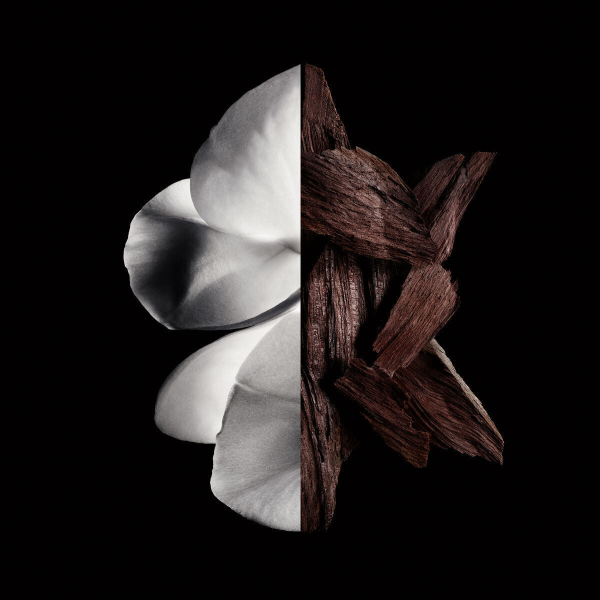 Stylized image of a flower petal and wooden shavings, symbolizing the essence of Givenchy Gentleman's fragrance.