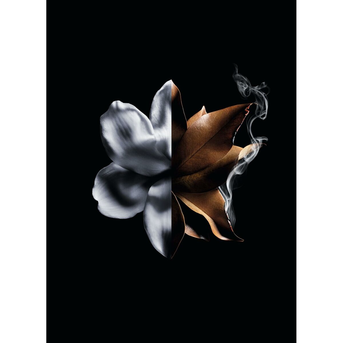 Elegantly designed black and white floral image representing Givenchy L'Interdit Absolu perfume.