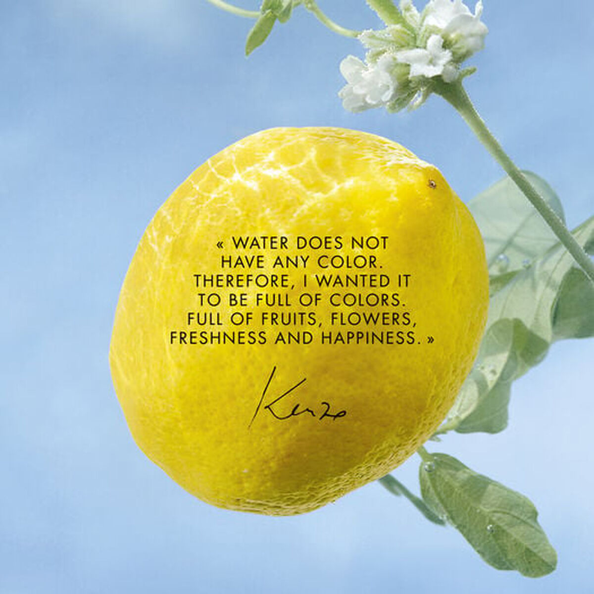 Lemon with a quote about colors and freshness from Kenzo against a blue sky background.