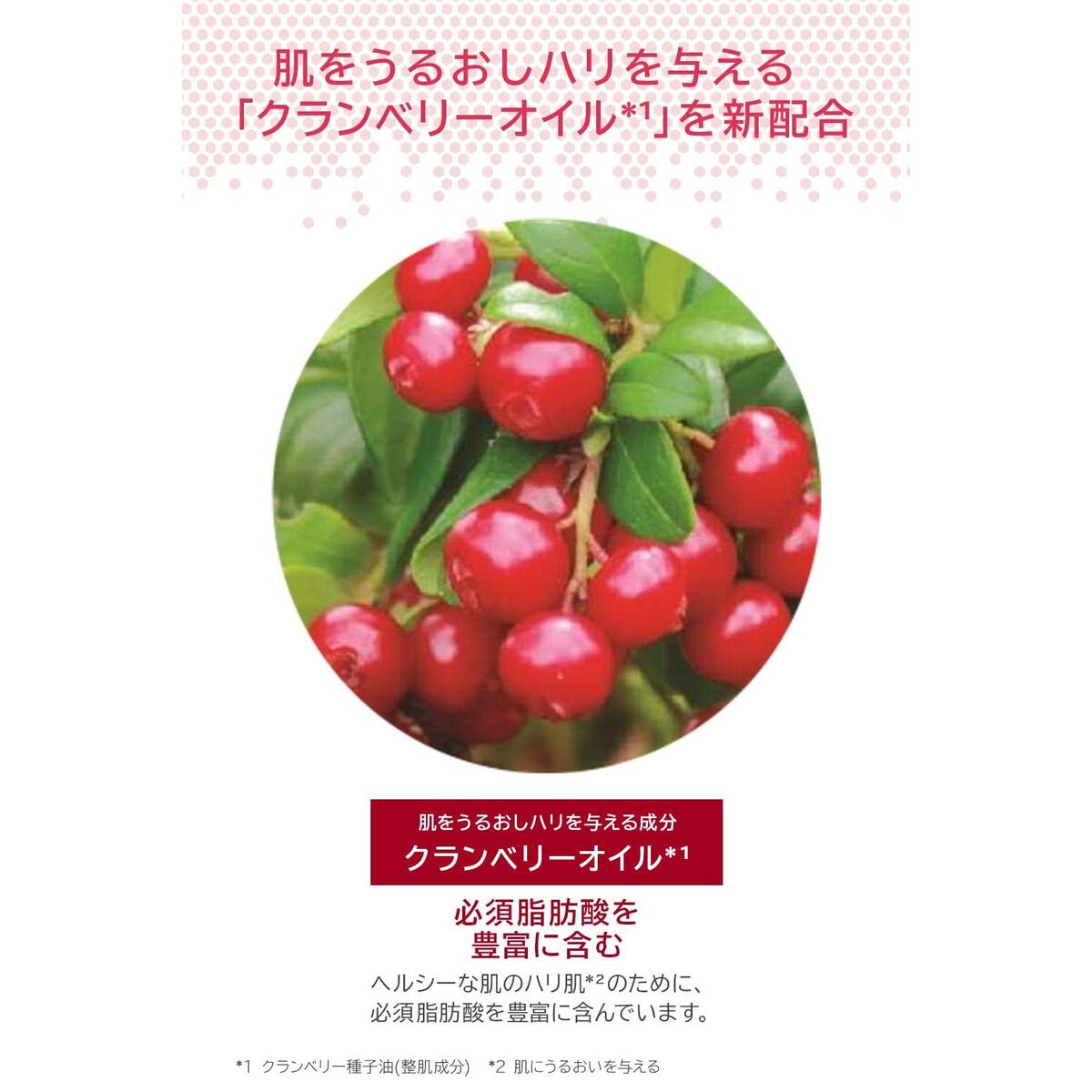 Image of cranberry oil highlighting its skin benefits for hydration and nourishment.