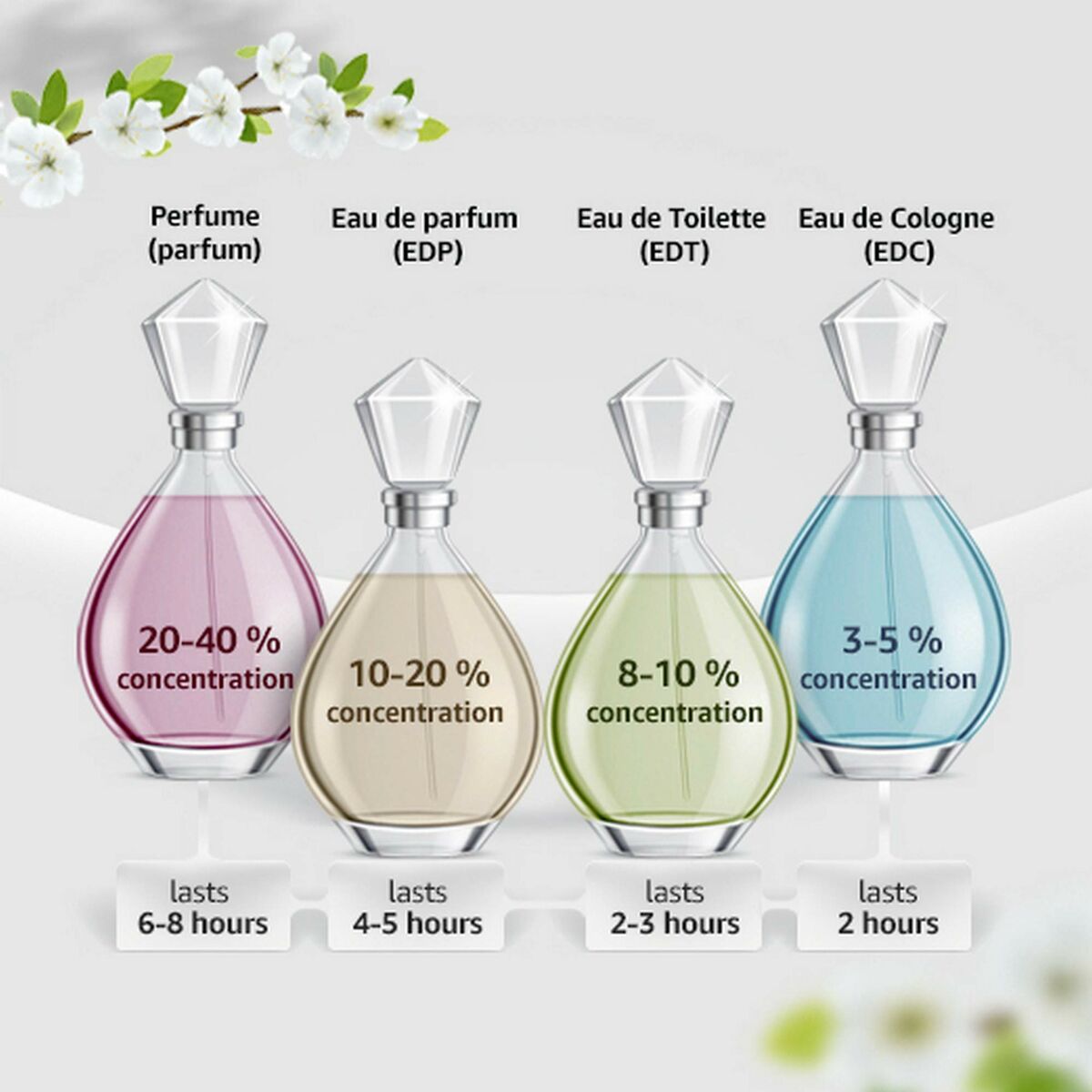 Comparison of perfume types: concentration levels and lasting durations for Parfum, EDP, EDT, and EDC.