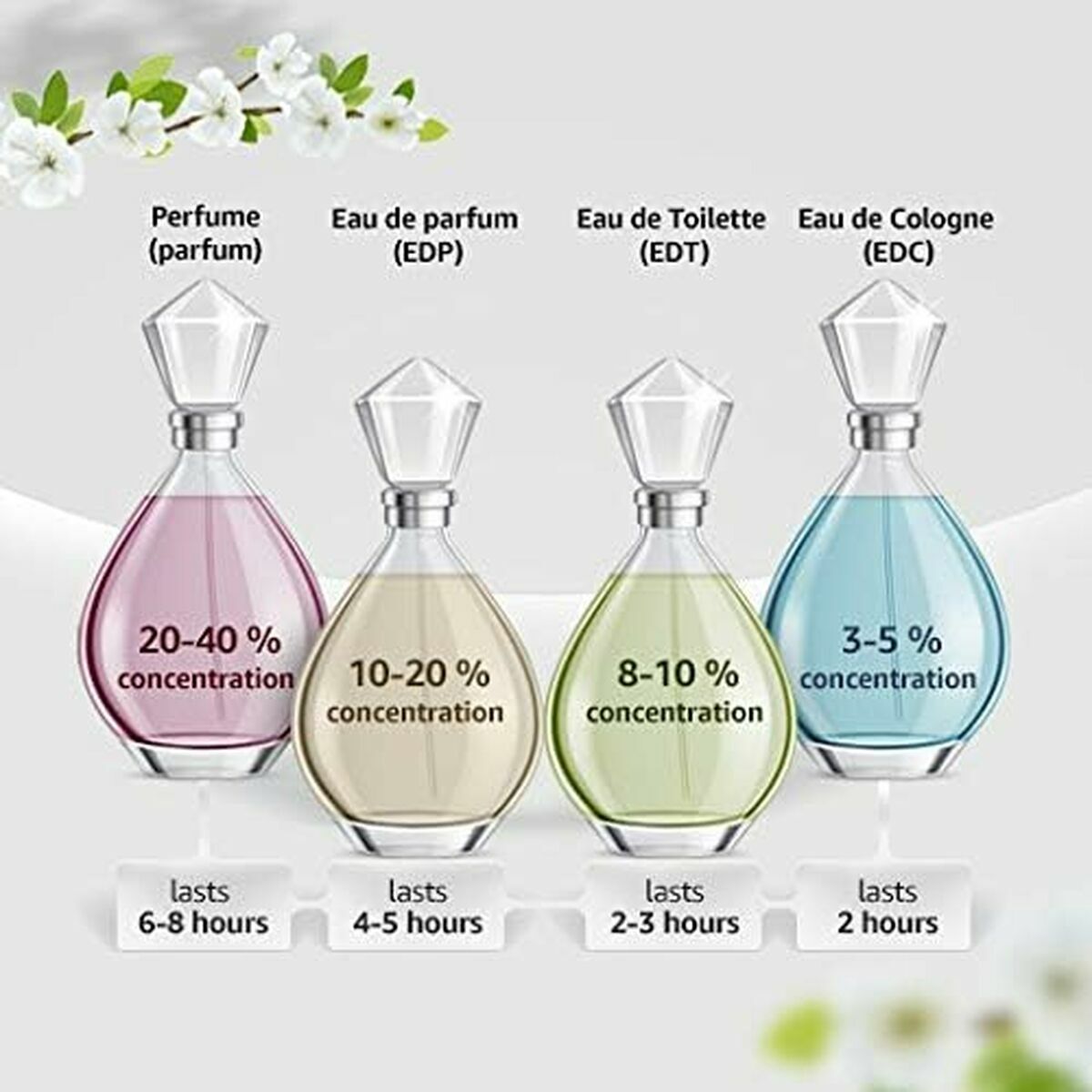 Diagram comparing perfume types: Parfum, EDP, EDT, and EDC with concentration and lasting duration information.