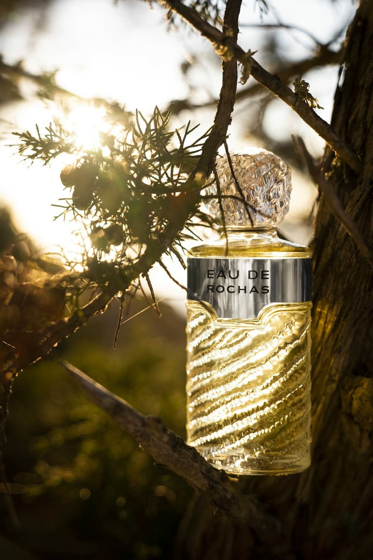 Eau de Rochas parfum bottle displayed among branches with sunlight filtering through, highlighting its elegance.