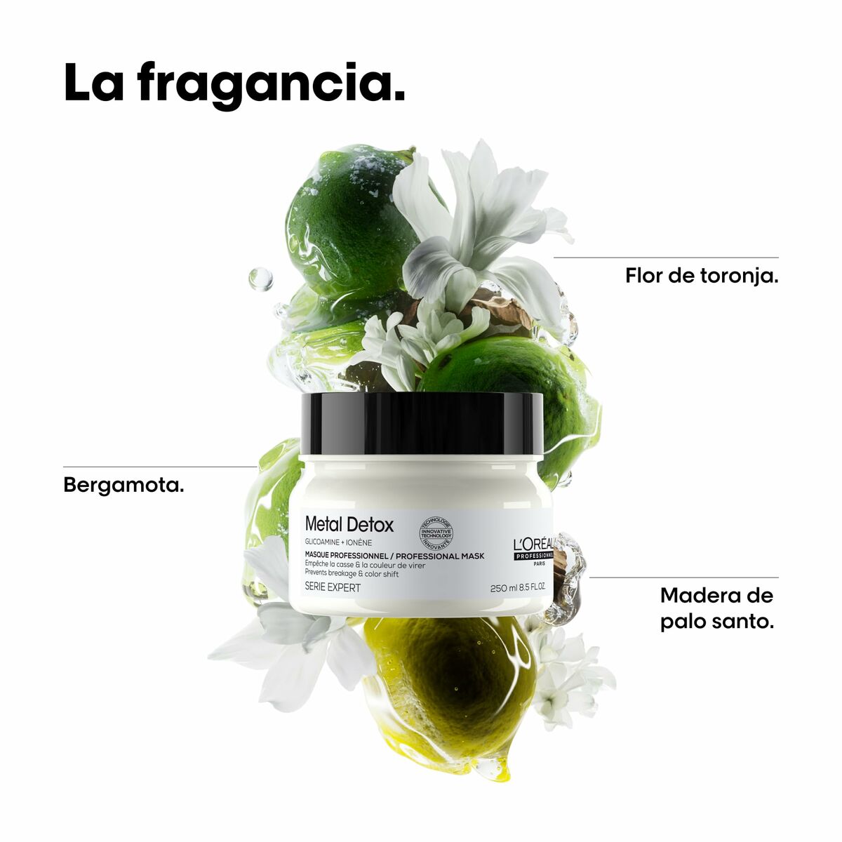 Masque réparateur L'Oreal Professionnel Paris METAL DETOX en crème, 250 ml avec ingrédients naturels.