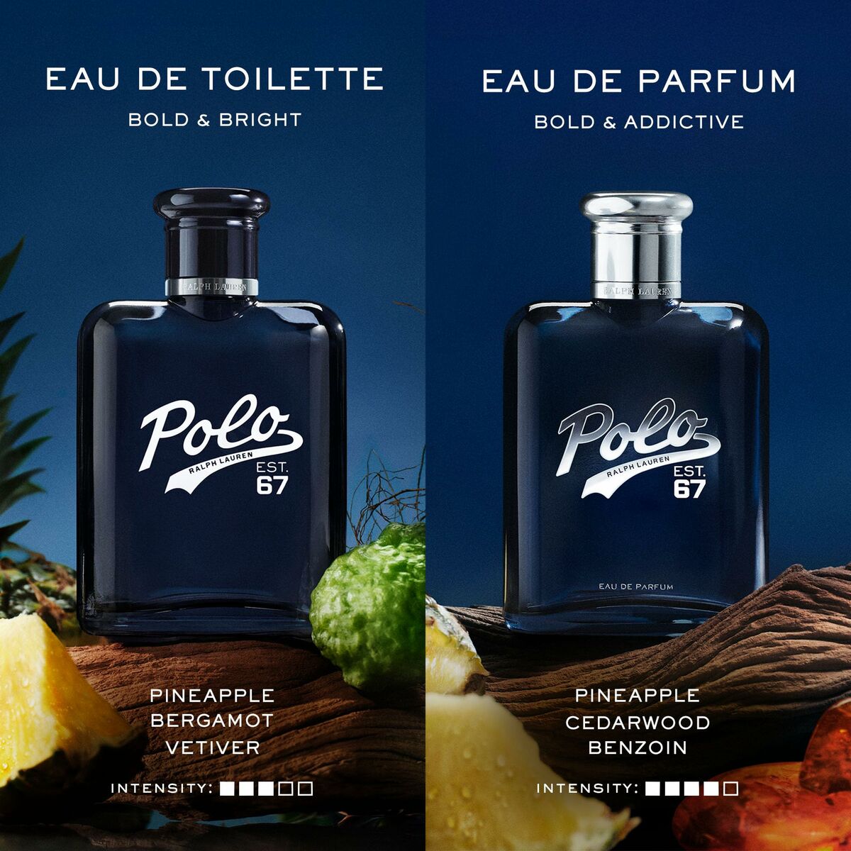 Parfum Homme Ralph Lauren POLO Eau de Toilette et Eau de Parfum avec notes de pin et de bois.