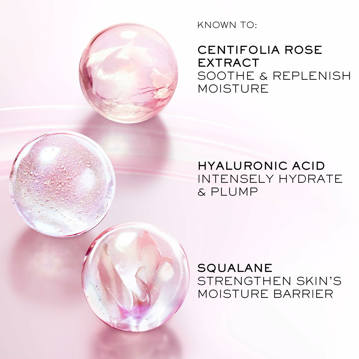 Three skincare ingredients: Centifolia rose extract, hyaluronic acid, and squalane in gel form for hydration and moisture.