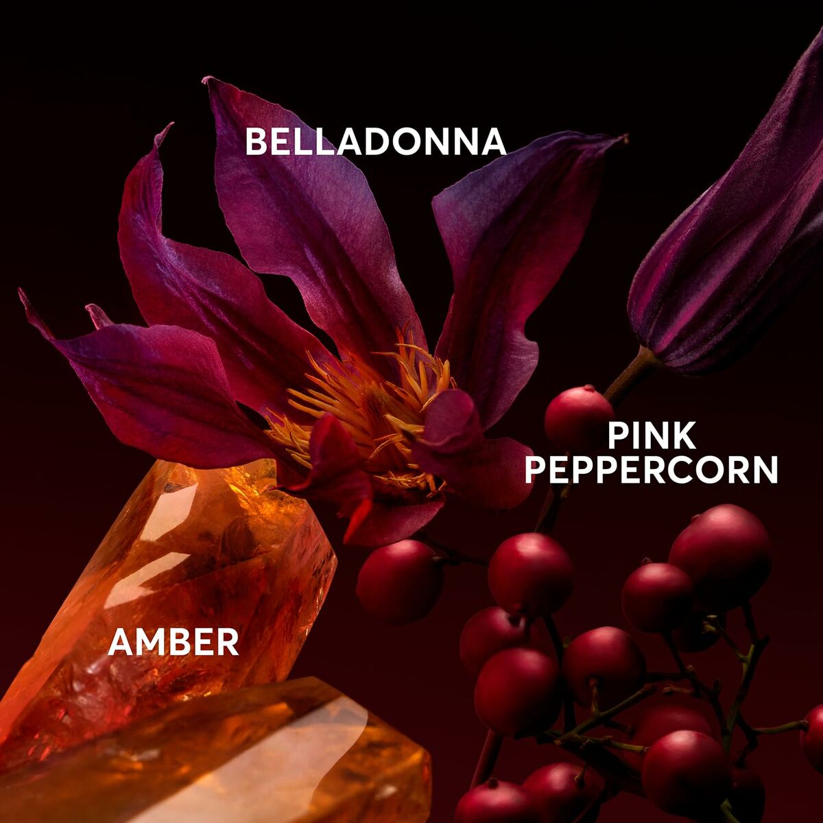 Ingredients of Hugo Boss The Scent Elixir: Belladonna flower, pink peppercorn, and amber crystals.
