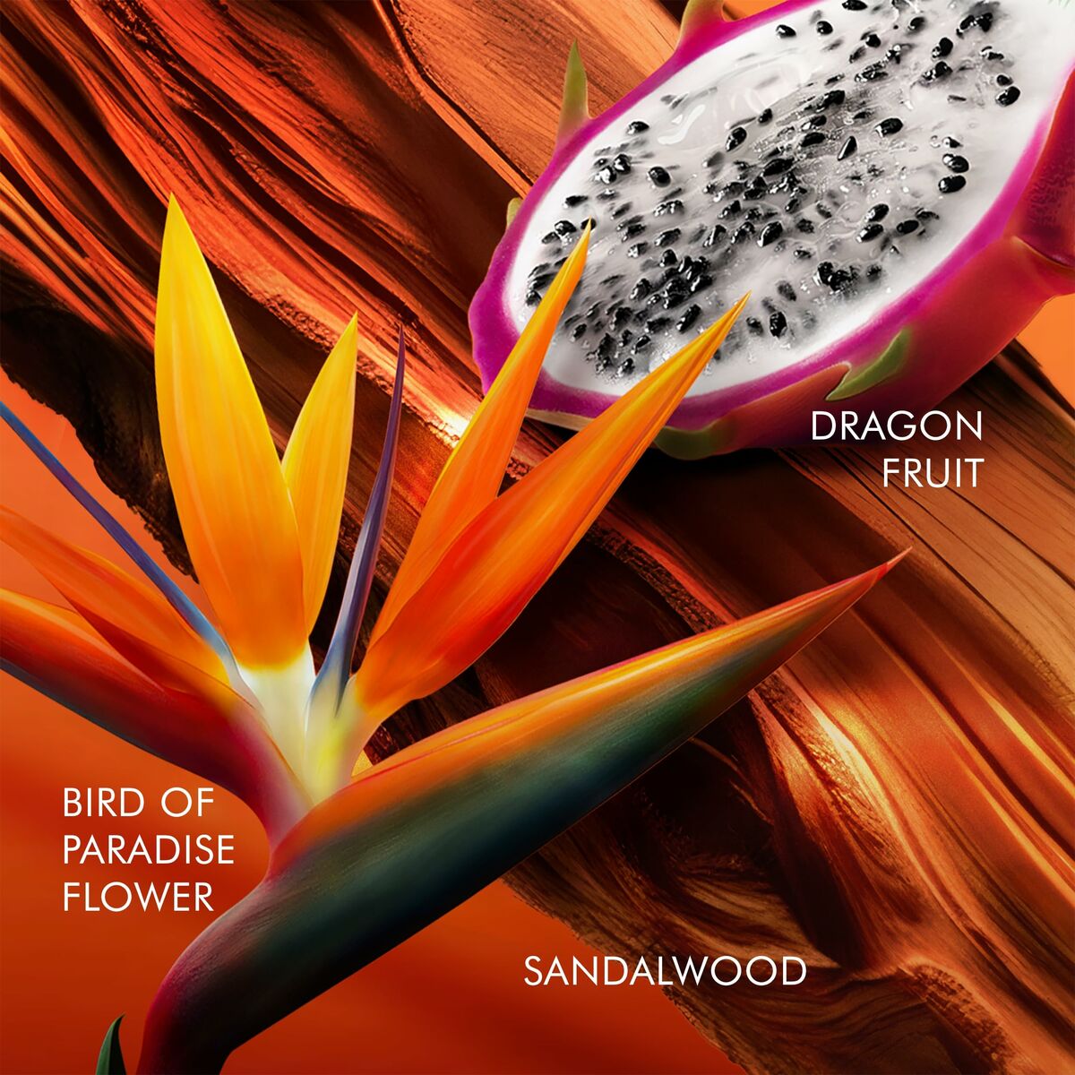 Vibrant image showcasing dragon fruit, bird of paradise flower, and sandalwood on a colorful background.
