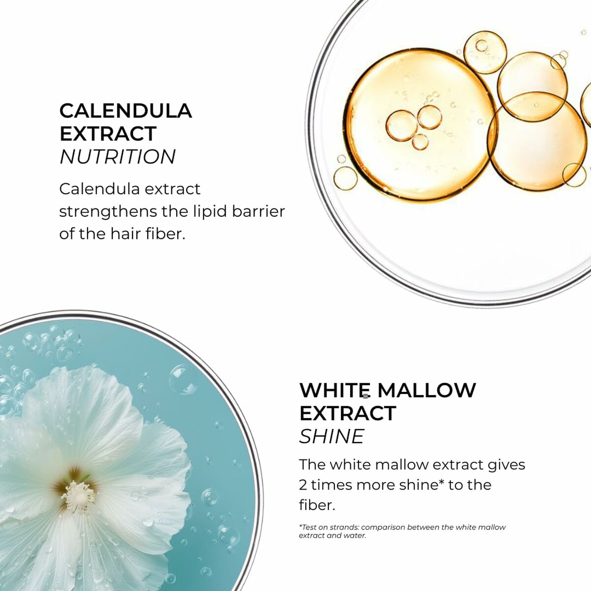 Image showcasing Calendula and White Mallow extracts, highlighting their benefits for hair nutrition and shine.