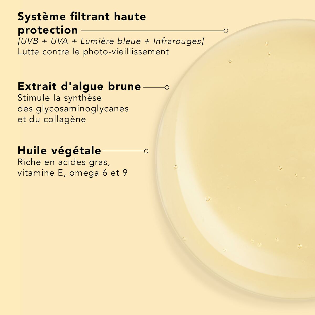 Protéger contre le photo-vieillissement avec le système de filtration, extrait d'algue brune et huile végétale.