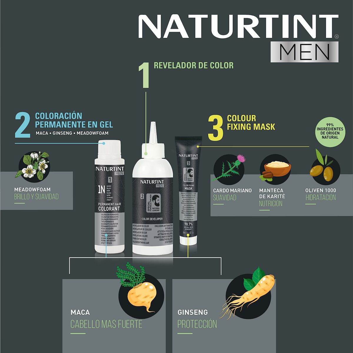 Naturtint Men hair color products including color revelator, gel color, and color fixing mask with ingredients like ginseng and meadowfoam.