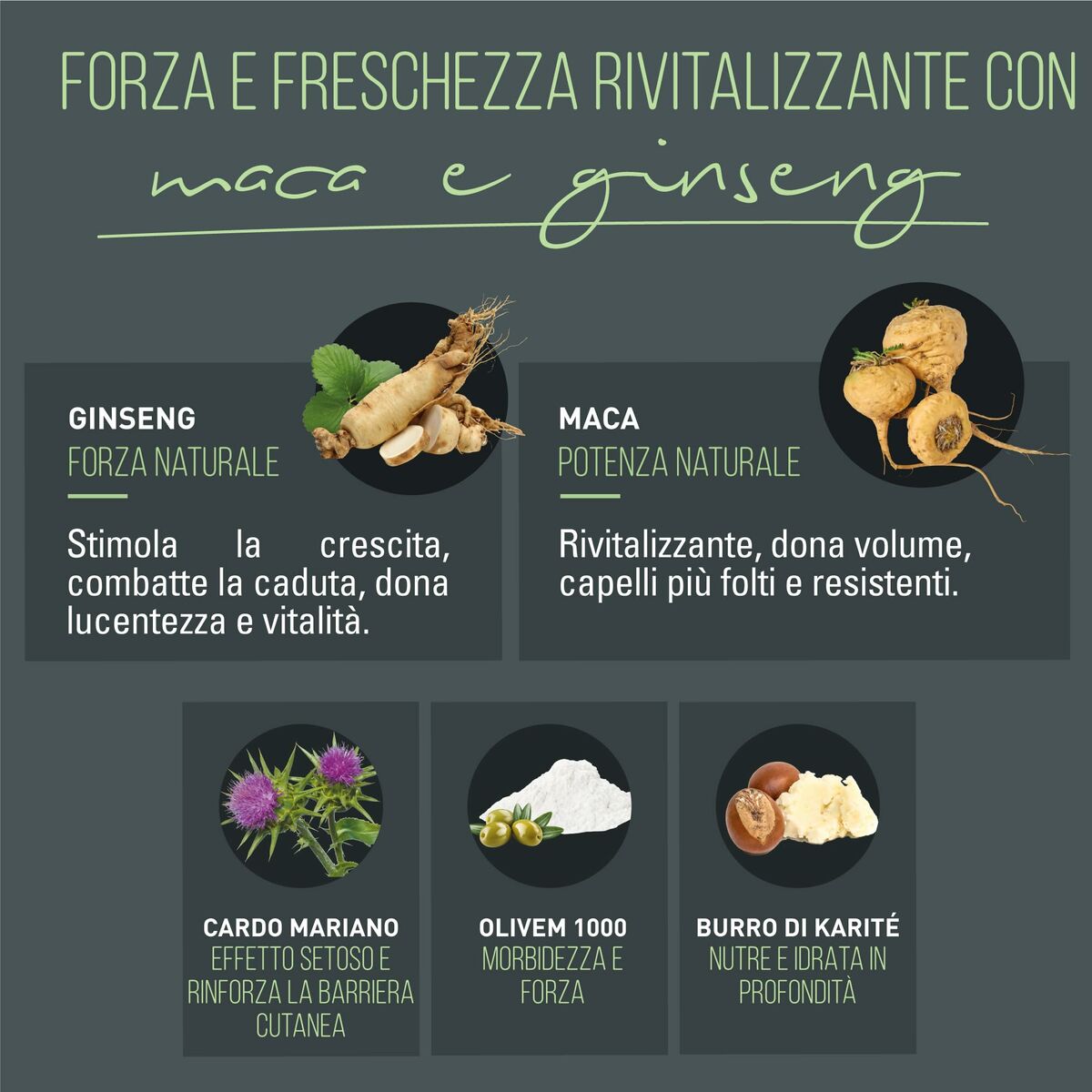 Forza e freschezza con maca e ginseng: ingredienti naturali per capelli lucenti e forti.